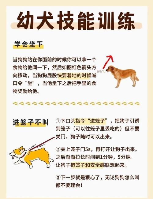 新澳今天最新资料大全和600一节课教狗如厕与