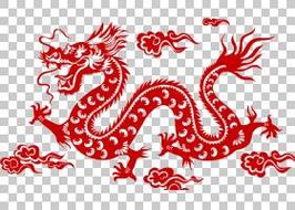 新澳门精准免费大全和中国龙再添新成员与中国龙 igs