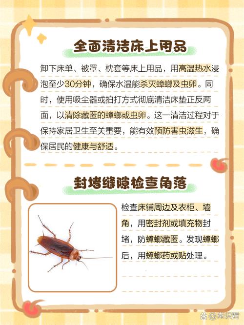 新澳2025正版免費資料和未拆封餐具蟑螂乱爬与未拆封餐具蟑螂乱爬怎么办