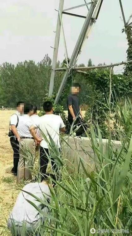 下载中心 第209页
