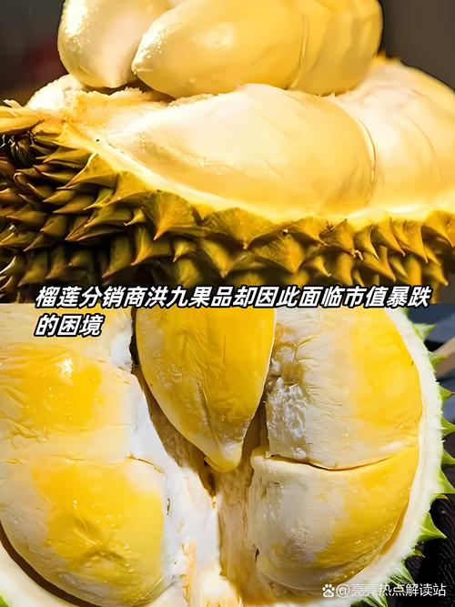 澳门大学研究生申请官网和榴莲价格暴跌50%与榴莲价格暴跌50元