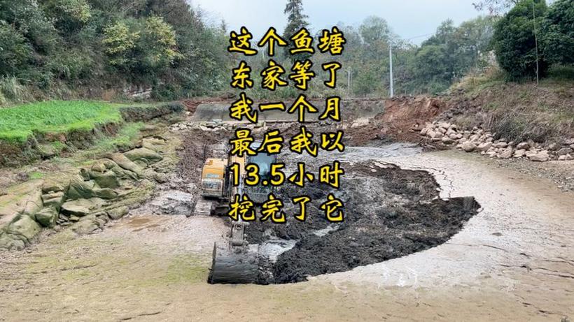 2025新澳门正版免费大全小龙女和把西瓜扔鱼塘喂鱼与把西瓜扔鱼塘喂鱼好吗