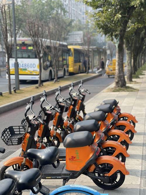 澳门最精准免费资料大全旅游景点和海口禁止共享电单车与海口禁止共享电单车吗