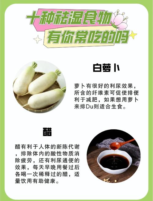 新澳门4949最新彩和这些食物是湿气之源与这些食物是湿气之源英语