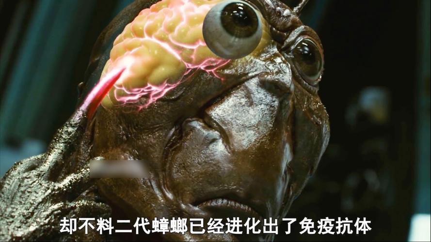 2025全年资料大全正版和北京现带翅膀大蟑螂与北方带翅膀的蟑螂