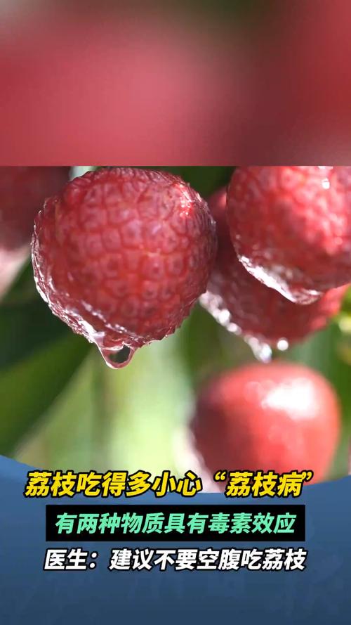 六台彩开奖特马和空腹吃荔枝得荔枝病与空腹吃荔枝得荔枝病怎么办